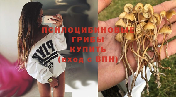 кокс Алексеевка