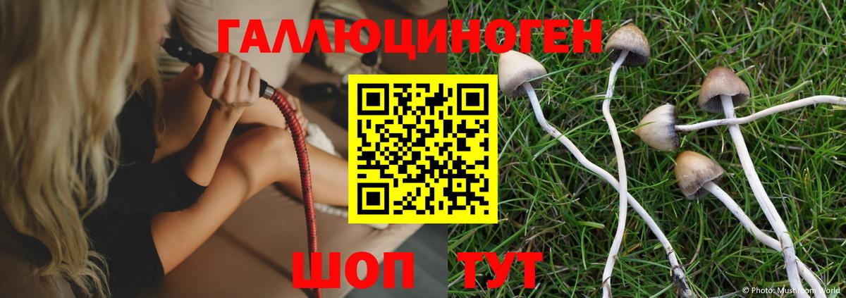 Галлюциногенные грибы Psilocybe Костомукша
