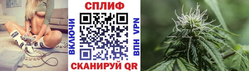 Бошки Шишки план  Костомукша 